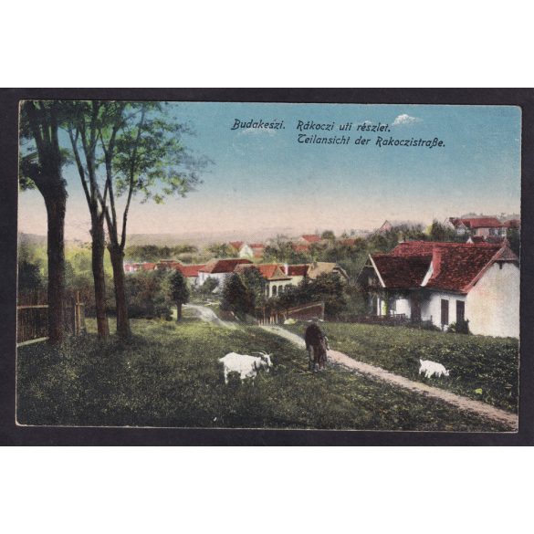 Budakeszi régi képeslapon, Rákóczi uti részlet.