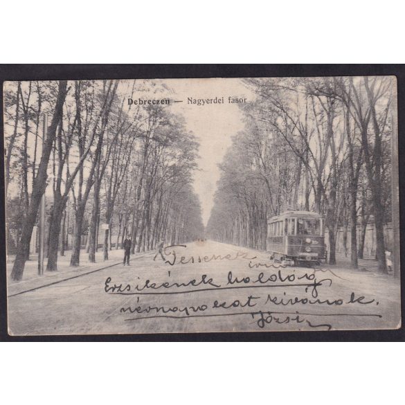 Debrecen régi képeslapon. Nagyerdői fasor villamossal