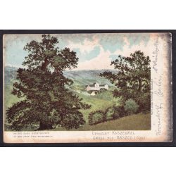   Kőszeg régi képeslapon. kb 800 éves gesztenyefa. Róth Jenő kiadása