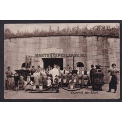 Ostoros régi képeslapon. Szüretelő munkások