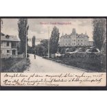 Üdvözlet Pomáz-Margitligetből. 1905